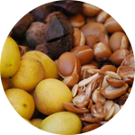 Oriental Group is able to offer cosmetic Argan oil and food Argan in bulk or packaged, as well as products of oriental Hammam and care: argan oil, black soap